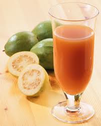 Manufacturers Exporters and Wholesale Suppliers of Guava Pulp pune Maharashtra